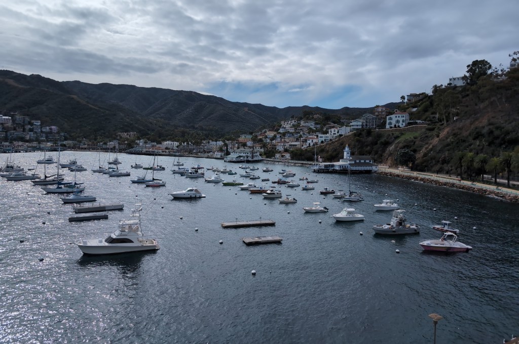A wide harbor filled with mooring balls, and many small craft, stretches out under an overcast sky.