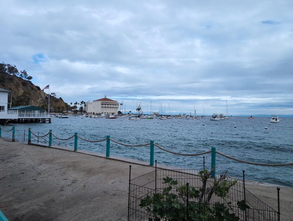 Waves roll through a mooring field on a windy day. In the distance is a large, circular, art deco style building with a red tile roof.