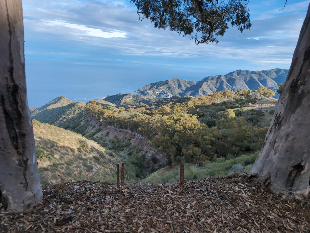 The view on a sunny day looking out between two trees across a mountainous island. At the foot of one mountain a distant town can be seen.