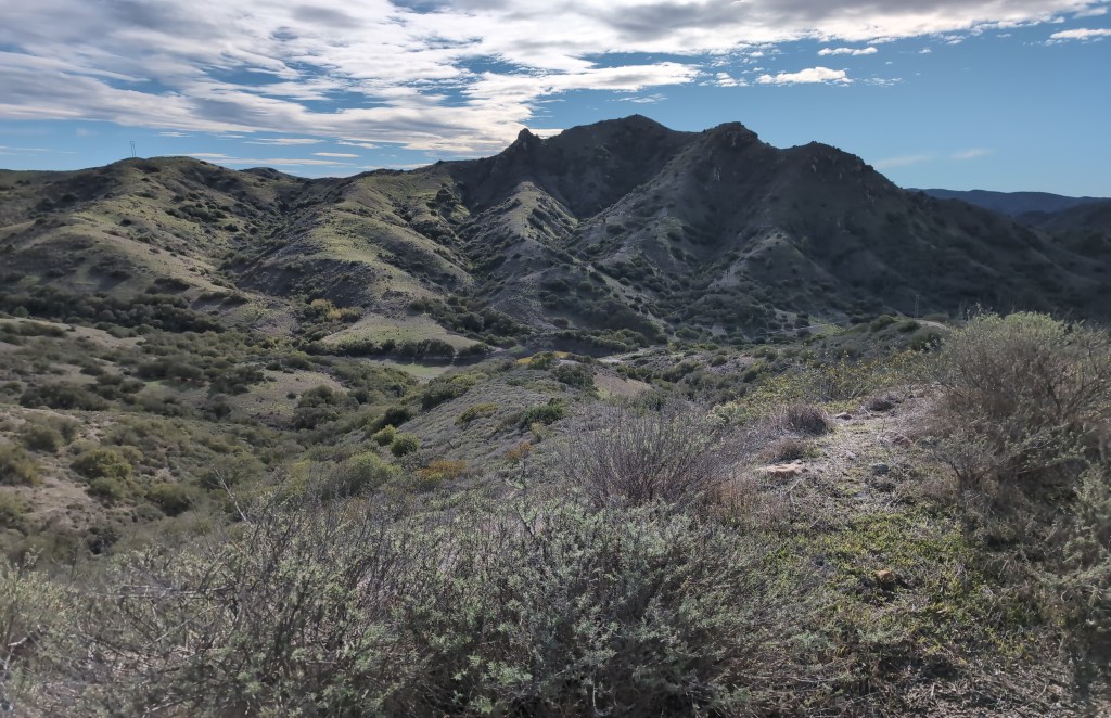 Low vegetation stretches out toward a mountain on a sunny day.