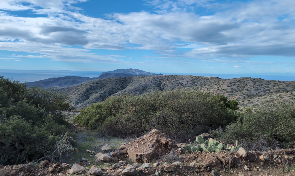 The view across cacti, rocks, and small shrubs across a mountain toward the distance ocean.