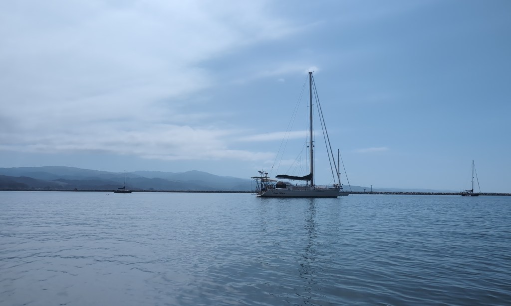 Luna Moth sits in a calm anchorage with several other boats around her and a distant breakwall.