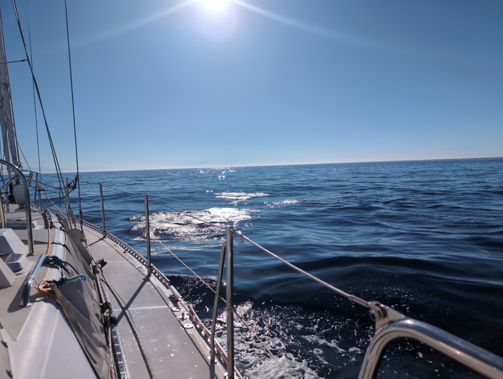 Calm waters, under a sunny clear sky, show ripples where something has just recently surfaced.