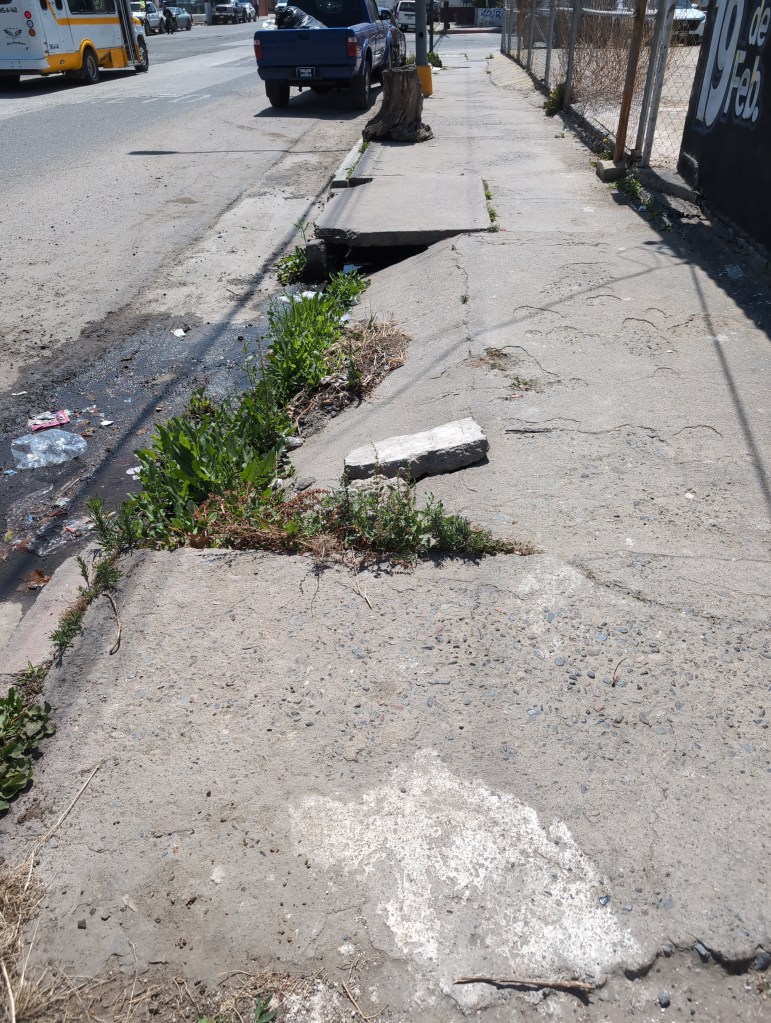 The street side half of a sidewalk section has collapsed. Weeds take over the edges and a large chunk of concrete sits on top.
