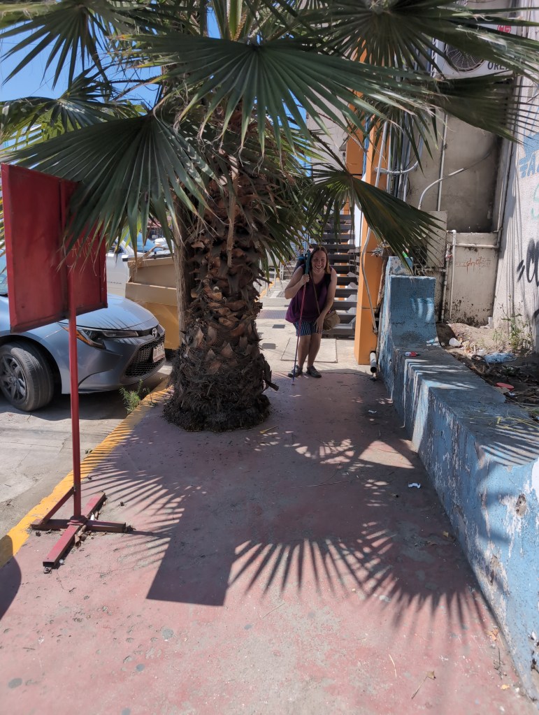 A smiling Tiffany ducks under a low hanging palm tree that's grown over the sidewalk.